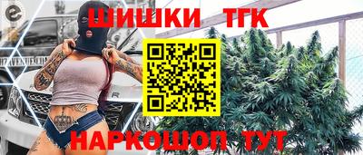 индика Пушкино