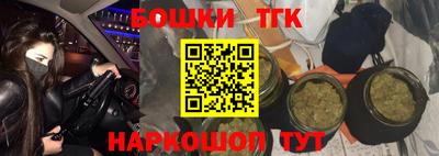 индика Пушкино