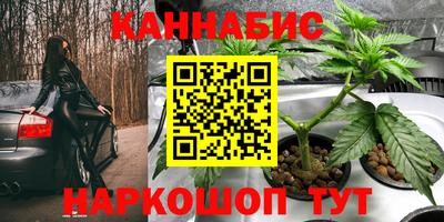 индика Пыть-Ях