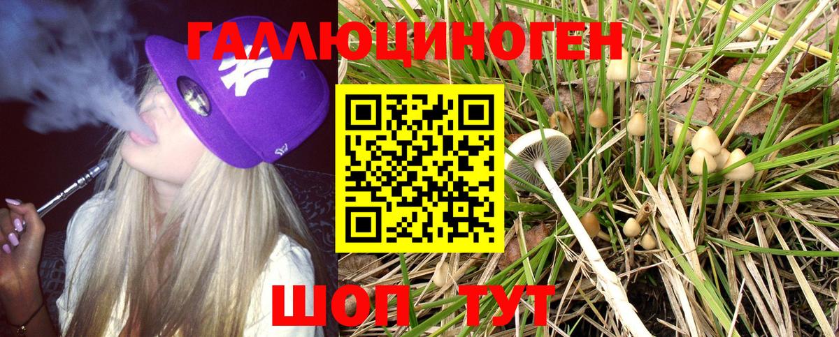 Белгород  Галлюциногенные грибы MAGIC MUSHROOMS  Вход с VPN 